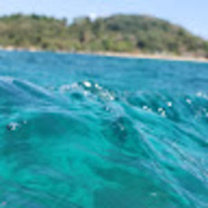 Meet your Posher, Moises